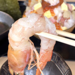 海さくら蝦夷海&ミチマロ - 