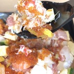 海さくら蝦夷海&ミチマロ - 