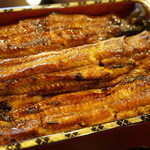 魚栄 - うにゃに！輝いています！