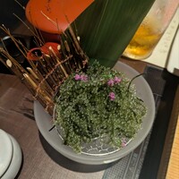 豆乳とんしゃぶ 寅太郎 - 
