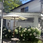 Sajilo Cafe Forest - 