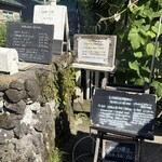 Sajilo Cafe Forest - 