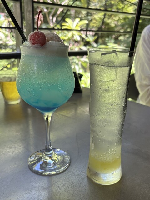 ミーヤカフェ FLYMEe Parlor Pendant Light / フライミーパーラー ペンダント