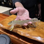 鮨匠 のむら - クリスタル蝦蛄