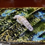 鮨匠 のむら - 蝦蛄