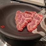 ニクノハットリ - 