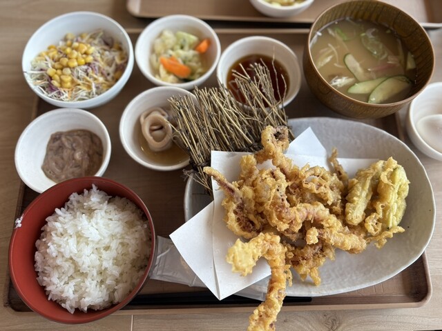 イカ恋食堂 ごはん亭 - 酒田（海鮮）の写真