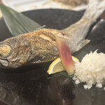 俺の炉ばた 恵比寿 - 