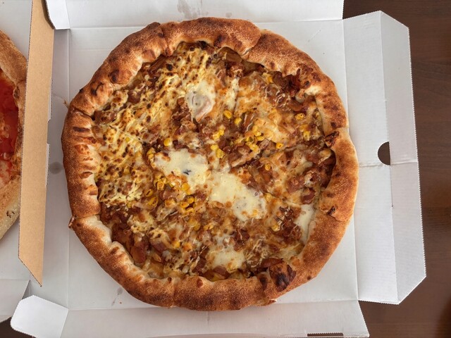 ピザ 本格ピザ窯 コンパクトサイズ アウトドアグッズ 温度計付き ZiiPa ピザ