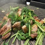 プルトゥンヌンテジ - 