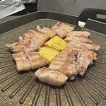 プルトゥンヌンテジ - 