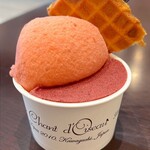 シャンドワゾー・グラシエ・ショコラティエ - 