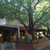 キハチ 青山本店 - 