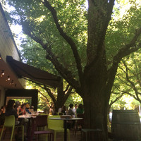 キハチ 青山本店 - 