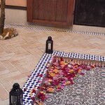 カフェ リアド - 