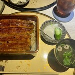 うなぎ 目白ぞろ芽 - うな重（上）