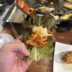 韓国石焼サムギョプサル専門 コッテジ - 