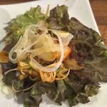 韓国石焼サムギョプサル専門 コッテジ - 