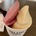 ジェラートサンタ - 料理写真:巨峰シャーベット &  HANABI