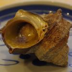 夏井屋 - 2014年9月下旬撮影03。サザエ