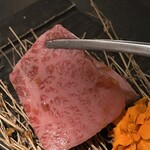 名古屋焼肉きらく - 