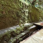 貴船喜らく - 山から突然枝がバキッと降ってきた