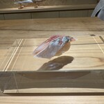 美な味 鮨 しんたろう - 