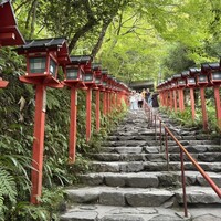 貴船喜らく - お店の向かいが貴船神社　水が濁っちゃいけないので、キブネじゃなくキフネって読みます