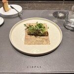 CIRPAS - 