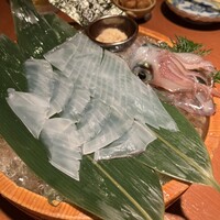 寅八商店 心斎橋店 -  寅八商店 心斎橋店 -