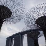 Starbucks Active Garden - 外観