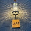 299
