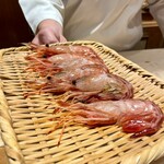 恵比寿 鮨 ふじまさ - 