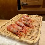 恵比寿 鮨 ふじまさ - 