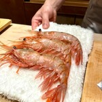 恵比寿 鮨 ふじまさ - 