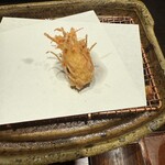 みかわ 是山居 - 