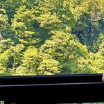 九酔渓温泉 桂茶屋 - テラスから見えます。下は川です。紅葉の季節は車も行列です。