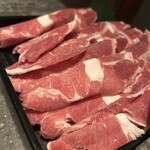 薬膳火鍋OSHIDORI - 