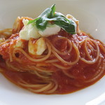 Pasta with mozzarella and tomato sauce