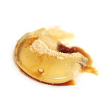 吉野本葛天極堂カフェクデュウー  - 黒蜜ぷるるん '14 9月下旬