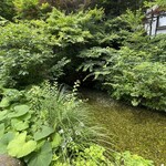 万平ホテル カフェテラス - 