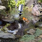 桜なべ　みの家 - 