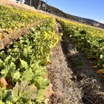 なごみの里 君津 - 