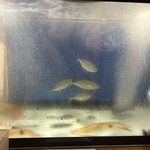 肉寿司と野菜巻き串 博多もん - 