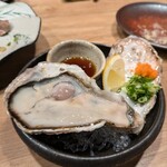 野良之木天蓼 - 