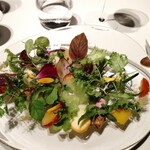 レフェルヴェソンス - 