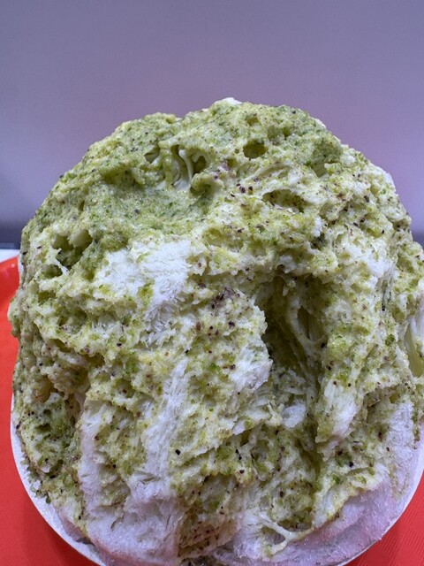 Bois Vert Terre photo 5