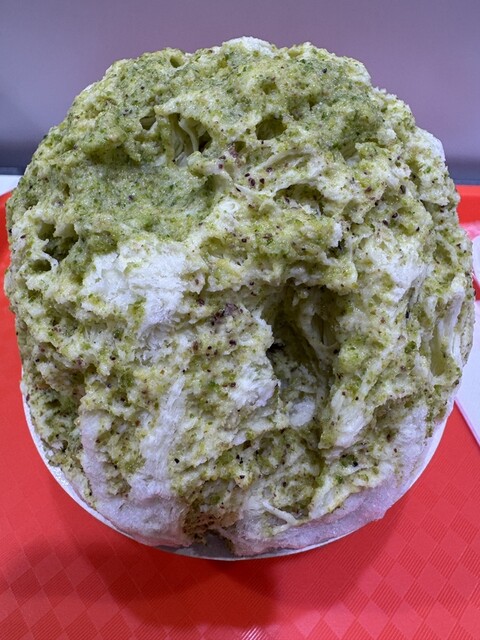 Bois Vert Terre photo 3