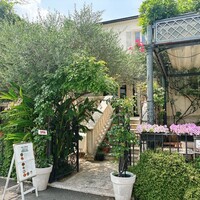 表参道バンブー - 