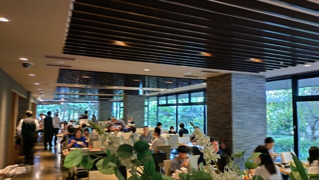 Kyoryori Kamiyagawa photo 5